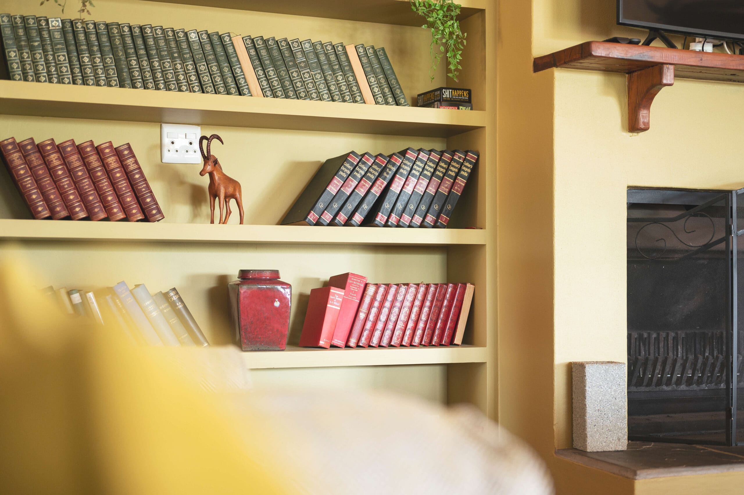 Unwind with a book in the cozy library lounge at Ubuninzi.